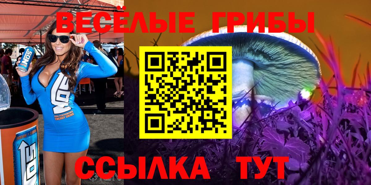 Псилоцибиновые грибы GOLDEN TEACHER Улан-Удэ
