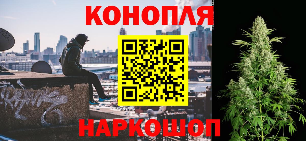 Шишки марихуана семена Улан-Удэ